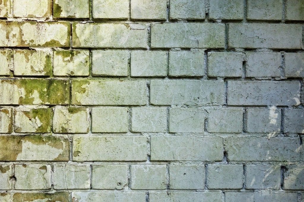 problèmes d'humidité Albi, expert humidité 81, expertise humidité Castres, expertise infiltration le Tarn,